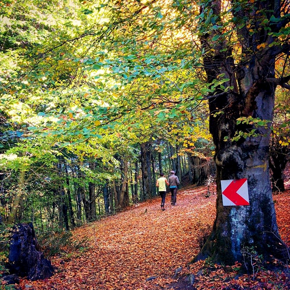 Alimestan village, Mazandaran