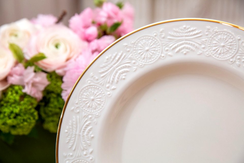Obama china service - dinner plate 2015
