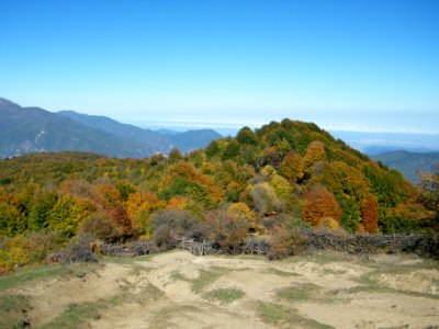 Alimestan village, Mazandaran