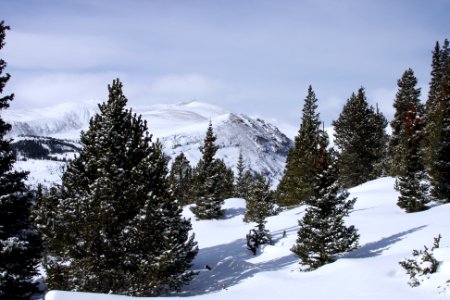 Colorado Powder