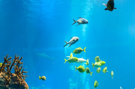 Ocean sea nature