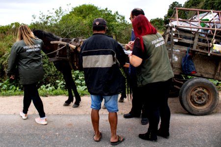 30.04.2019 - Blitze de combate aos maus tratos a cavalos - Foto Michel Corvello