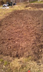 Dug over beds photo