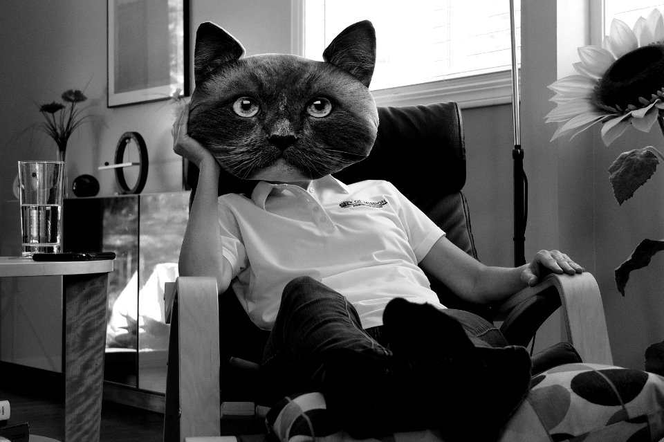 My Wife is the Cat's Meow