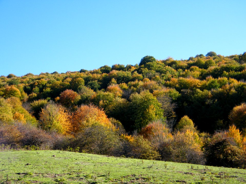 Alimestan village, Mazandaran