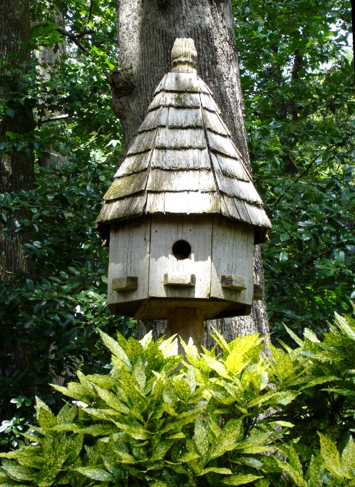 Birdhouse nature decoration
