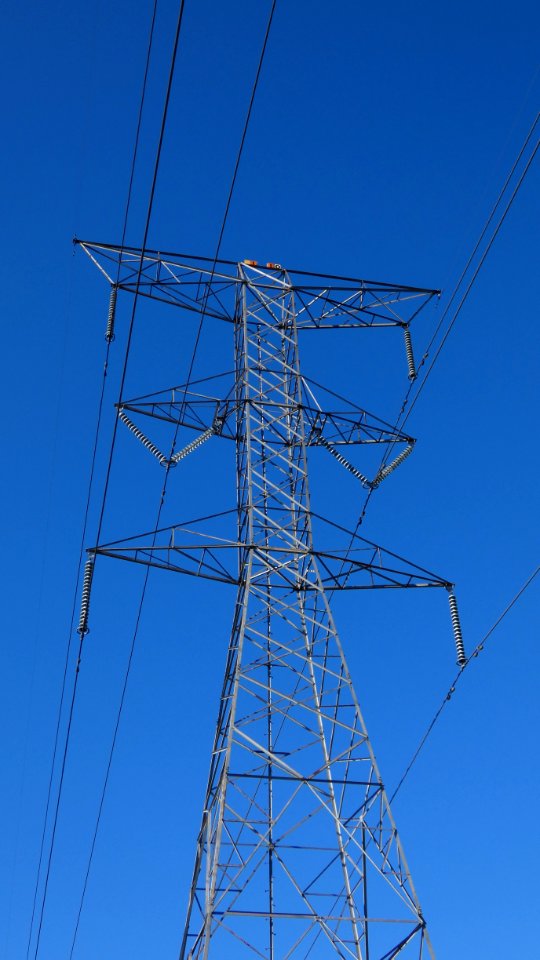 Powerlines on a Clear Winter Morning