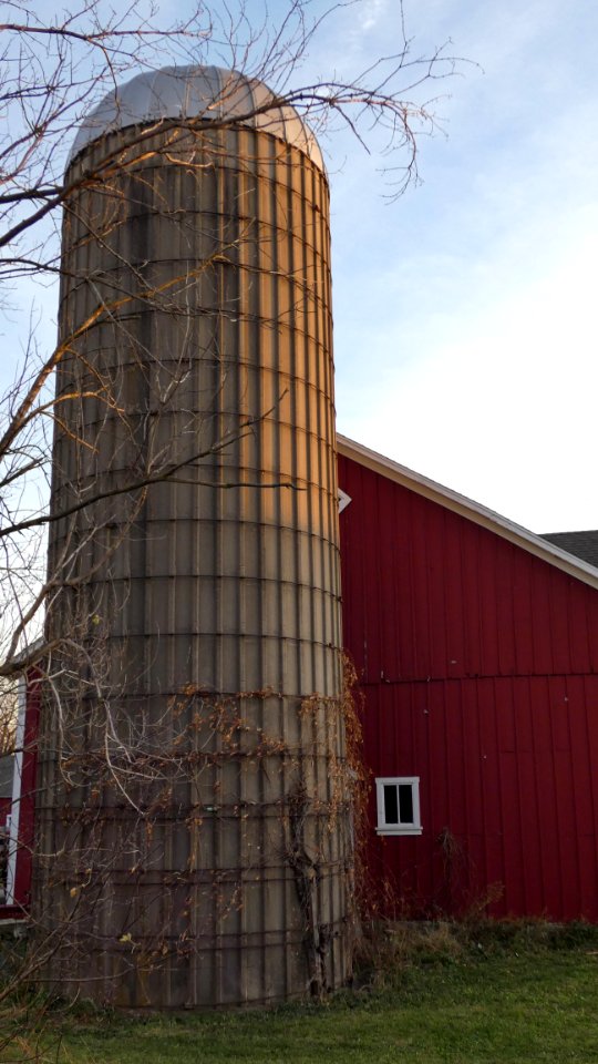 Silo in Late Afternoon Sunlight