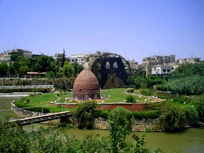 HAMA