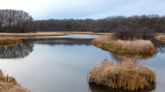 Salt Creek at Busse Forest West, Ned Brown Forest Preserve