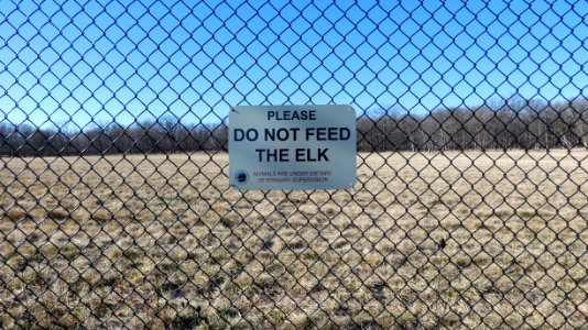 Do Not Feed The Elk