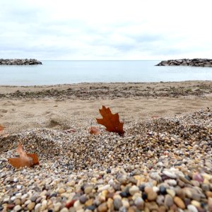 Rosewood Beach, Lake Michigan