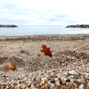 Rosewood Beach, Lake Michigan photo