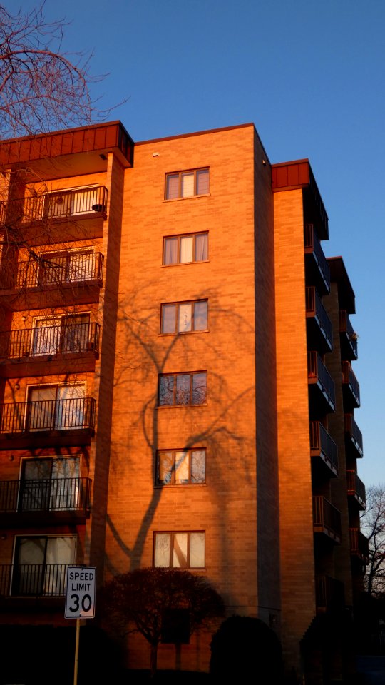 Apartment Building in Golden Morning Sunlight