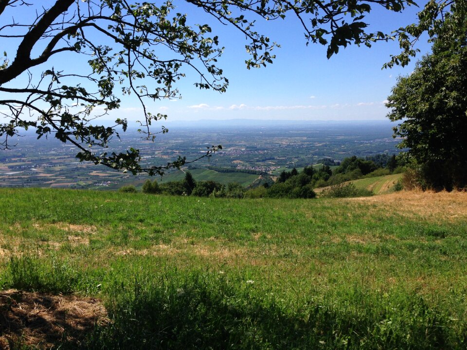 Black forest landscape distant view