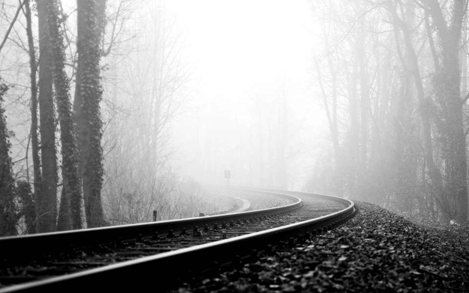 fog6