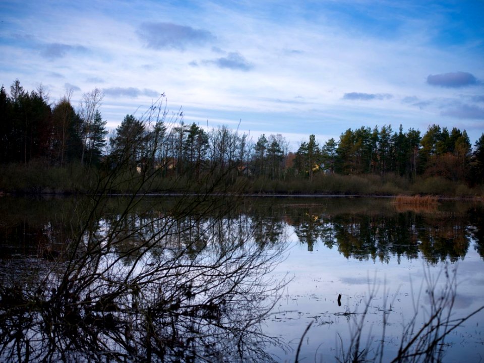 Borowo Jezioro i Las