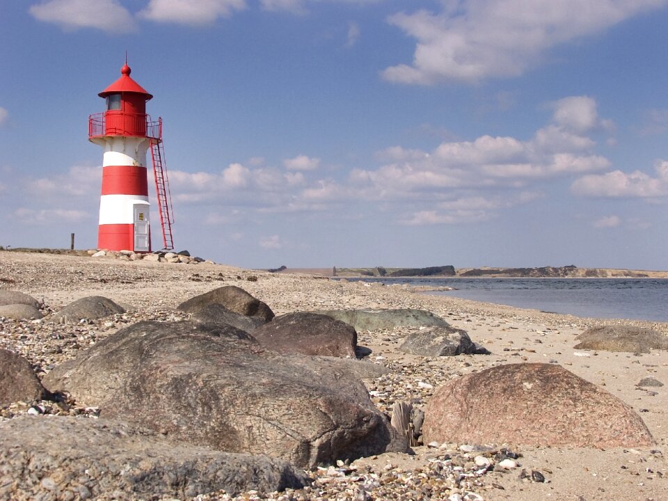 Beach the limfjord summer