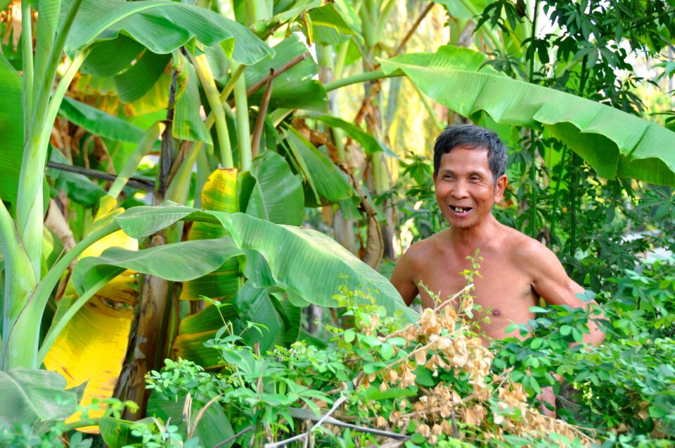 Banana plantation asia man