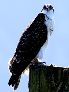 IMG 7103