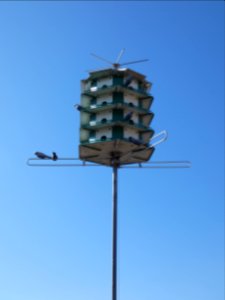 Kent Fuller Air Station Prairie