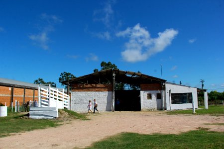 08.02.2019 - SSUI - Doação de Cavalos - Foto Marcel Avila