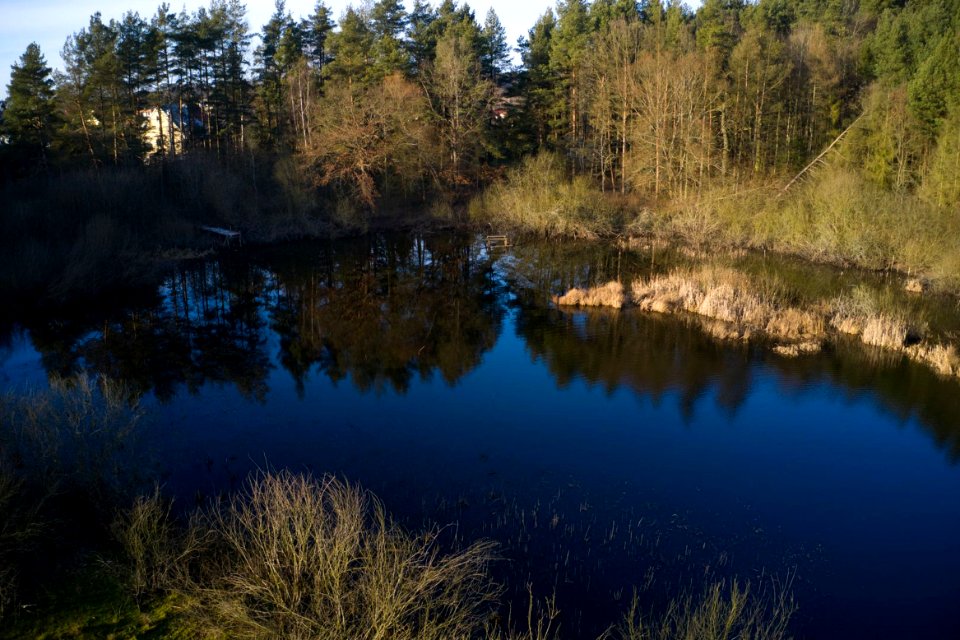 Borowo Jezioro i Las