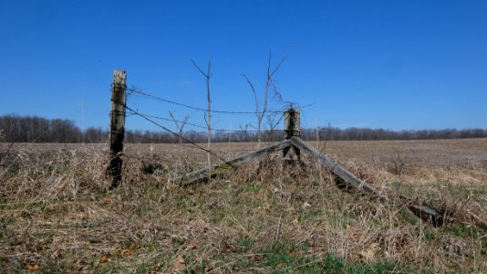 Walnut Valley Realm