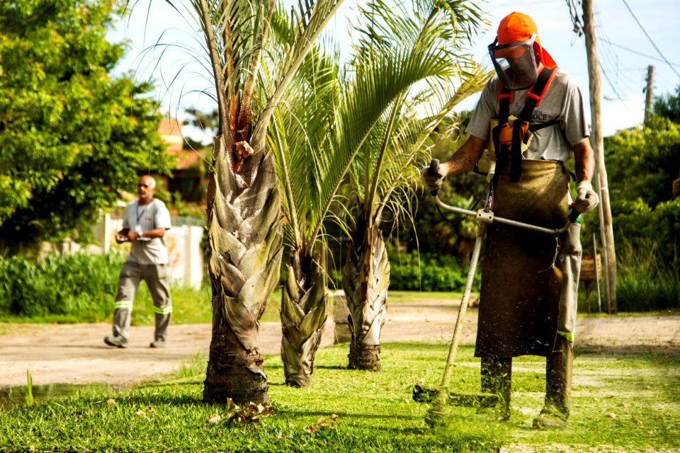 16.02.2019 - Trabalho de roçado na Praia do Laranjal - Foto: Gustavo Vara