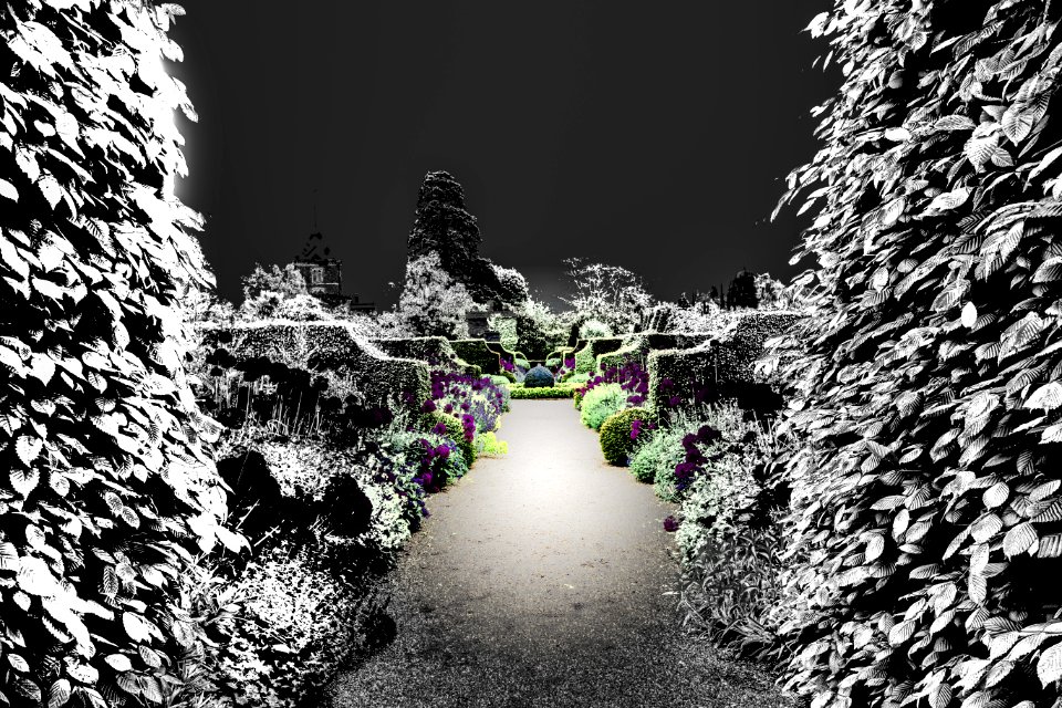 Arundel Castle Inside Infared (88)