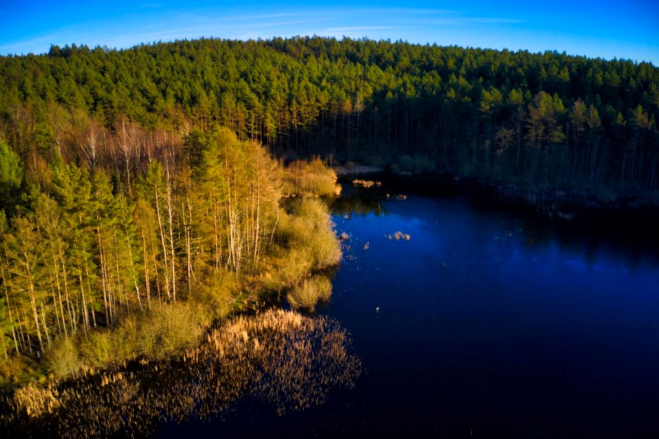 Borowo Jezioro i Las
