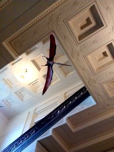 Pterosaur in Stairwell