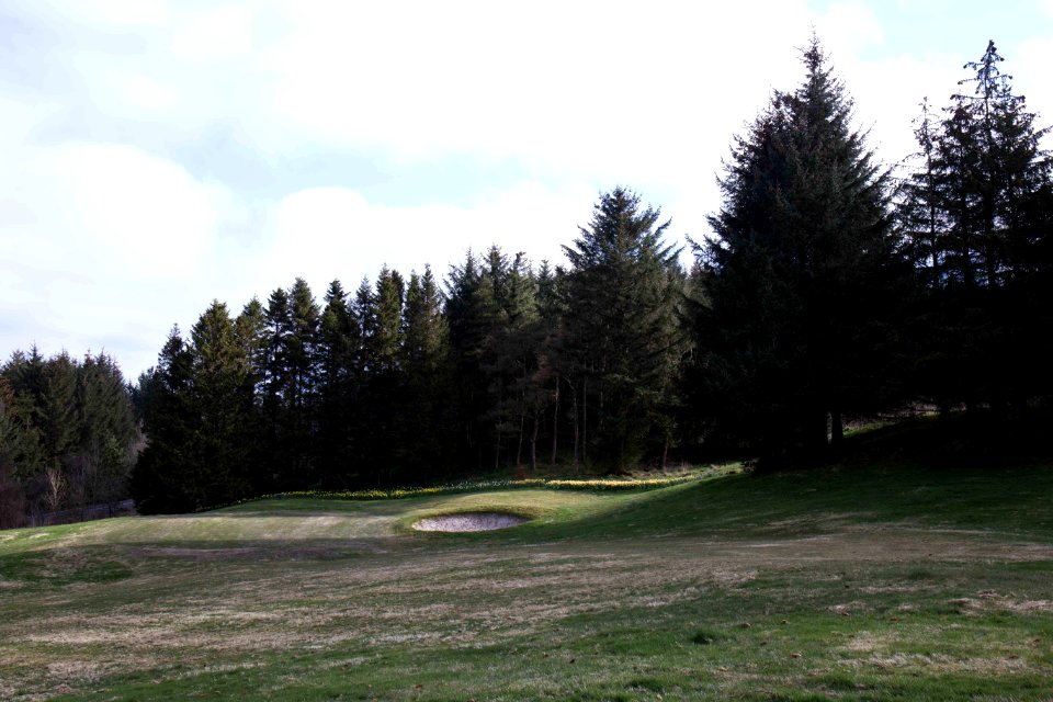 Eastwood Golf Club - IMG 2310
