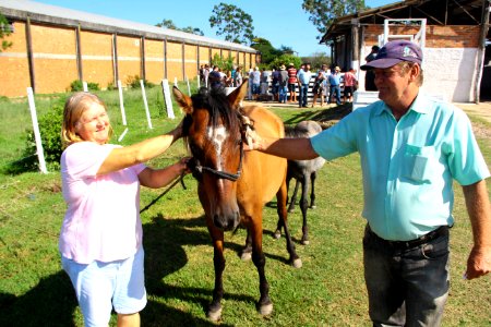 08.02.2019 - SSUI - Doação de Cavalos - Foto Marcel Avila