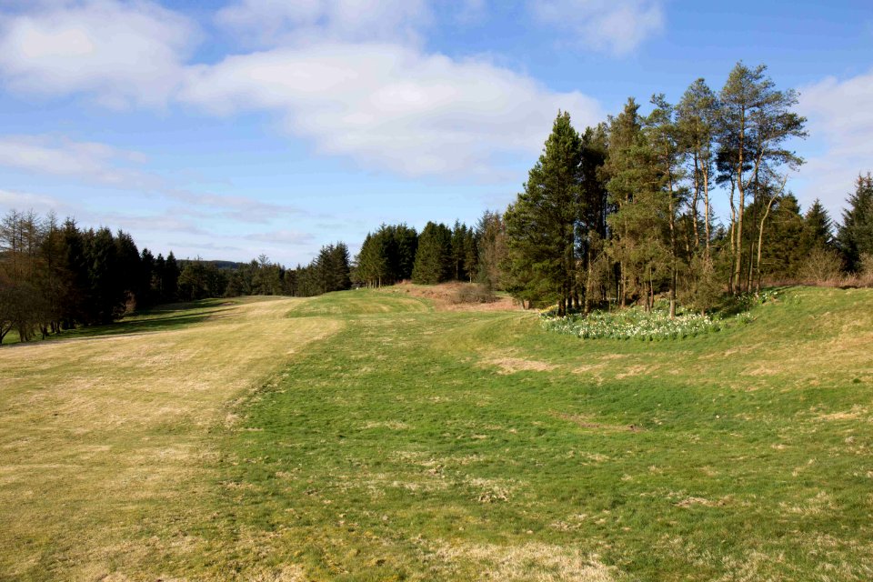 Eastwood Golf Club - IMG 2316