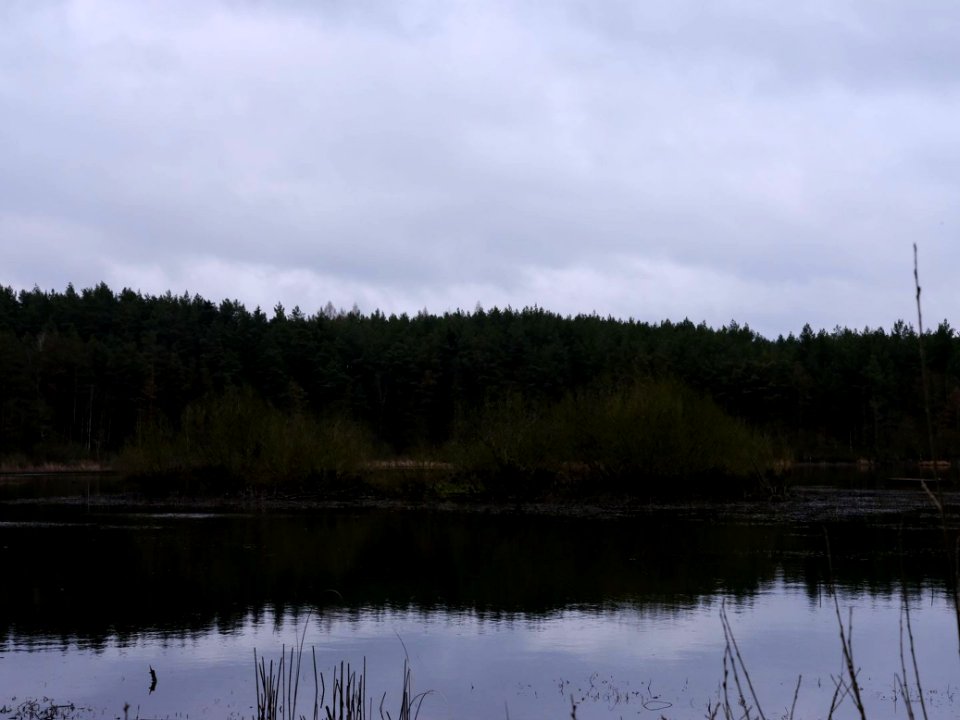 Borowo Jezioro i Las