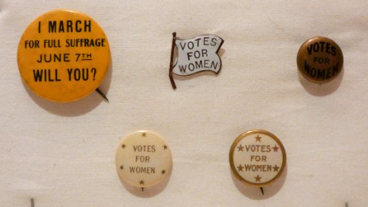 Votes for Women Pins