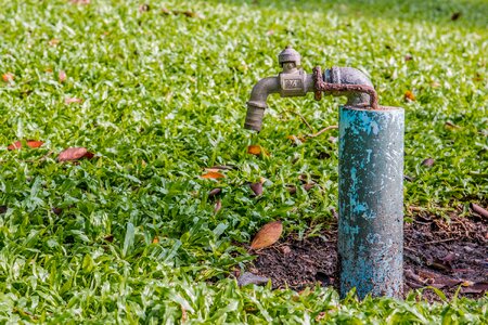 Taps faucet garden