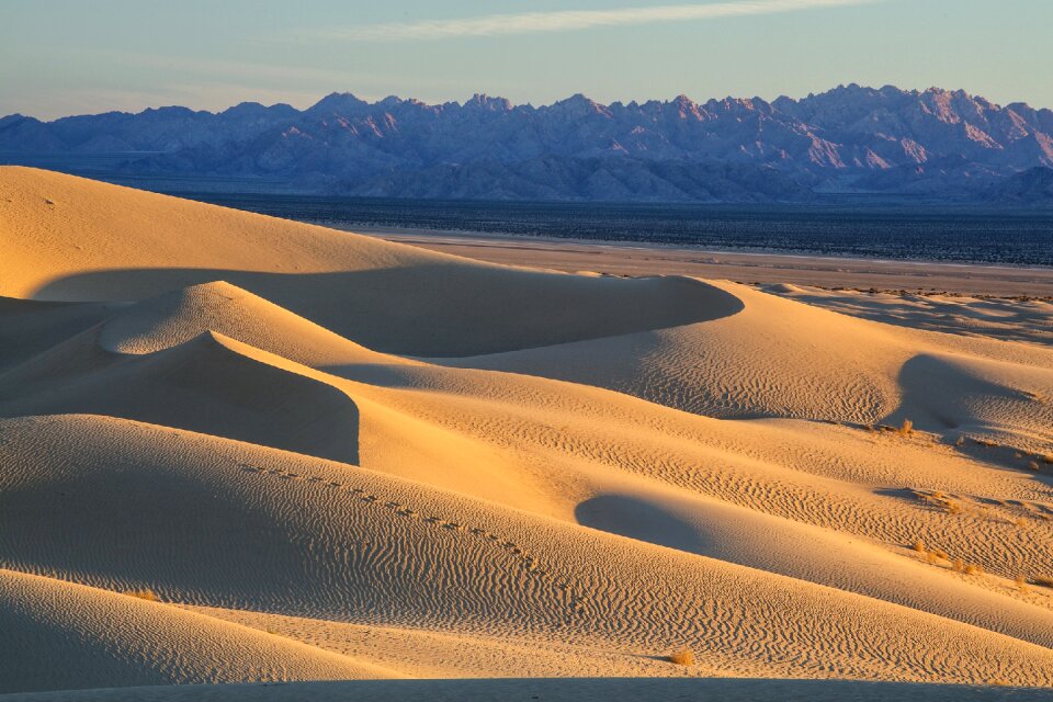 Dry heat shadows photo