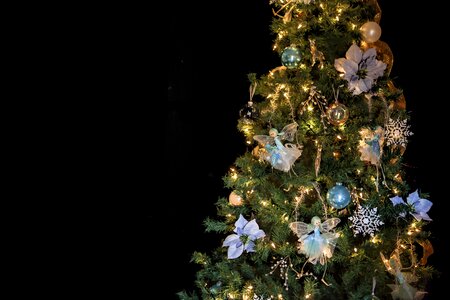 Christmas tree pine lights