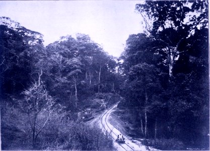 Linha da Beira - Pessoal da fiscalização em vistoria à linha na passagem pela floresta das Amatongas (c. 1900)