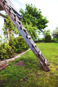 Ladder garden green