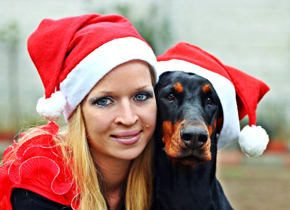 Christmas felame portrait dog