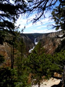 Yellowstone Lower Falls