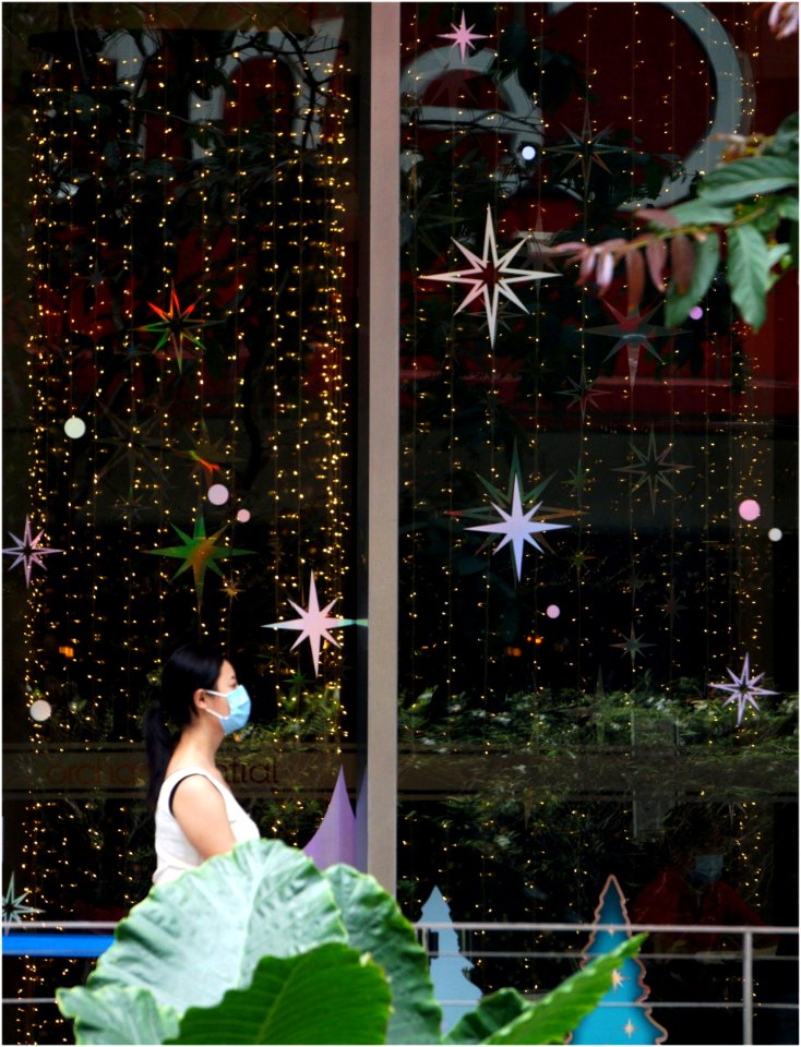 Christmas in  the mall