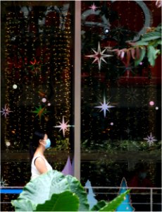 Christmas in  the mall