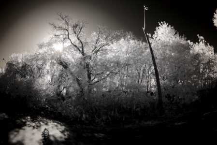 DSC 4092