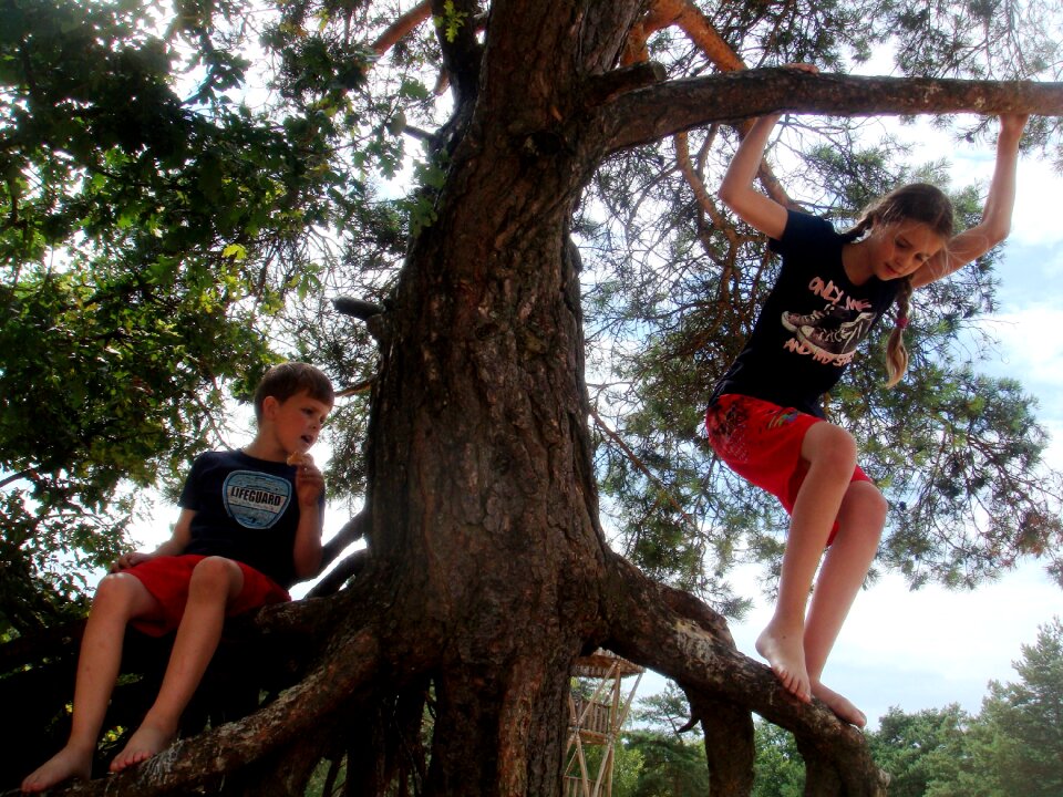 Work together forest jump