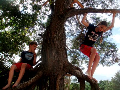 Work together forest jump