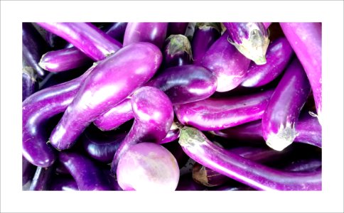 Eggplant